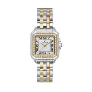 Montre Femme Daniel Klein