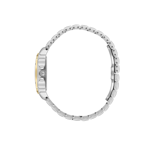 Montre Femme Daniel Klein